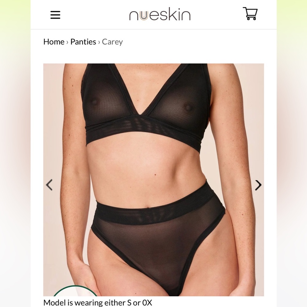 Bundle of 2 Brandnew Nueskin Black Sheer Thong & Brief Panty